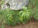 Gavarnie_1